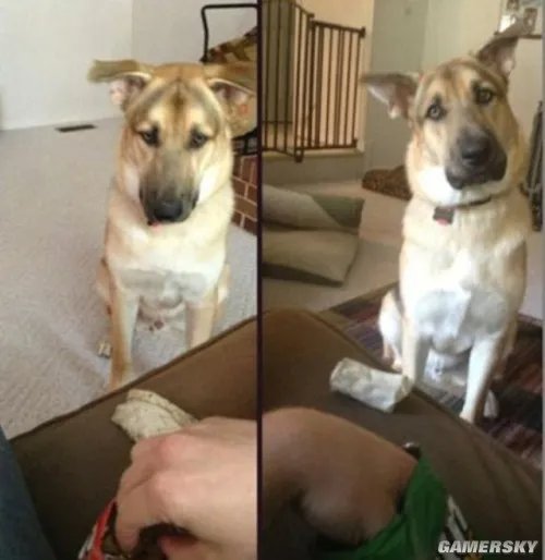 卖了媳妇赚路费？周四囧图按时到访