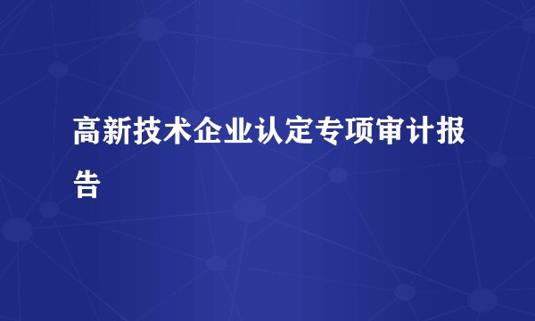 高新技术企业认定专项审计报告