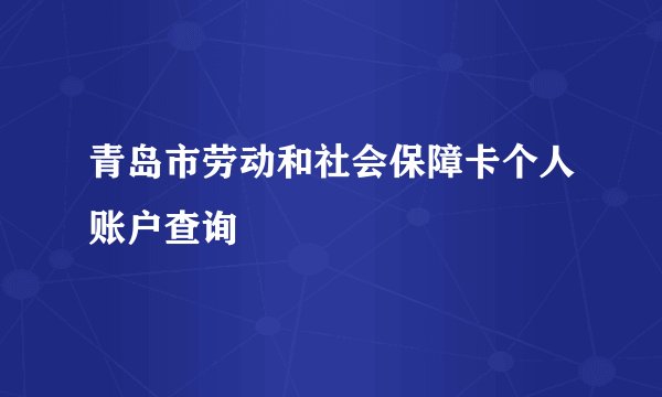 青岛市劳动和社会保障卡个人账户查询