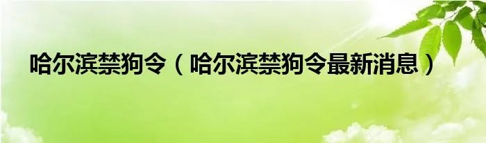哈尔滨禁狗令（哈尔滨禁狗令最新消息）