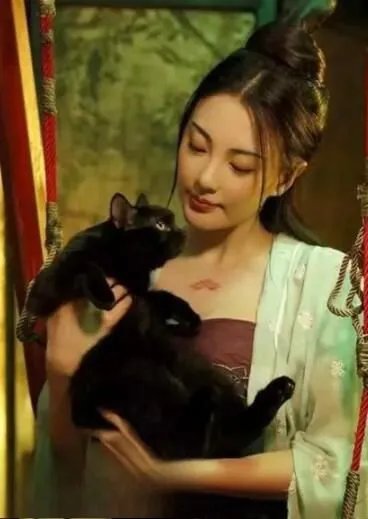 妖猫传春琴和妖猫发生了什么 春琴和妖猫是什么关系