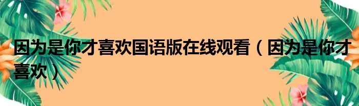 因为是你才喜欢国语版在线观看(因为是你才喜欢)