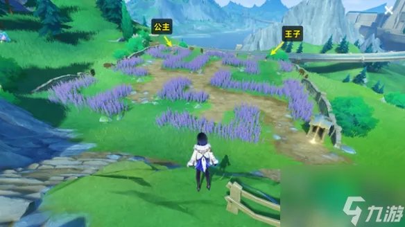 《原神》让勇士王子和公主回家任务怎么完成