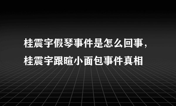 桂震宇假琴事件是怎么回事，桂震宇跟暄小面包事件真相