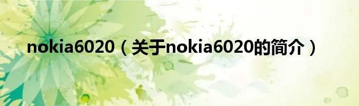 nokia6020（关于nokia6020的简介）